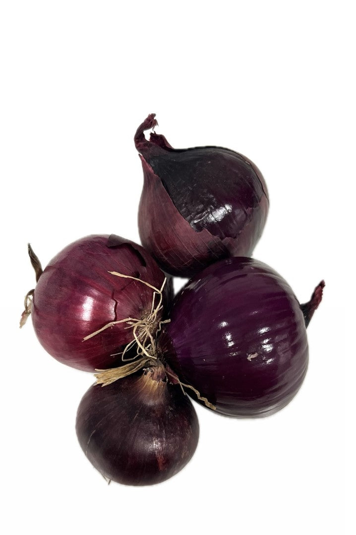 Cibule červená